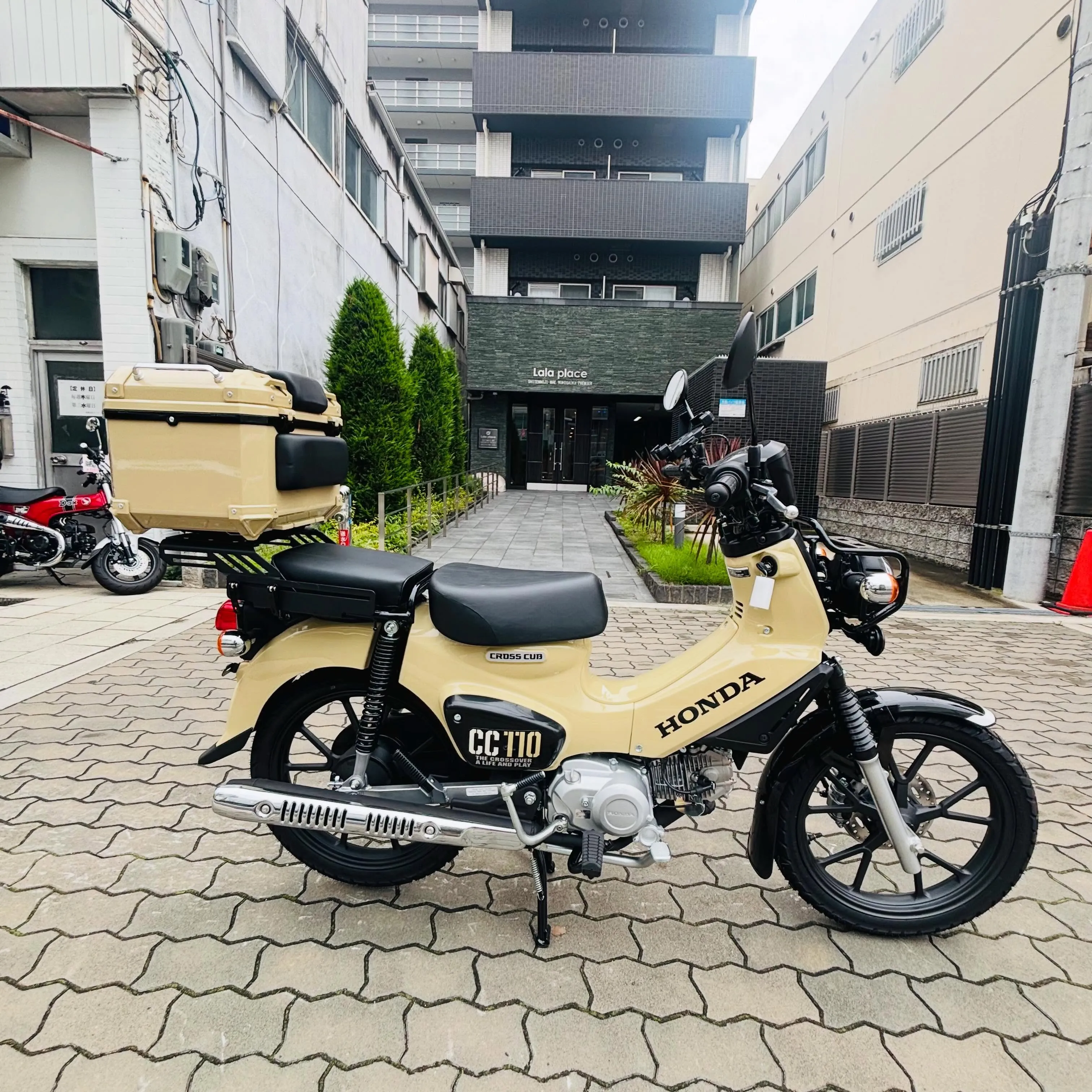 ■2026/06/22(月)