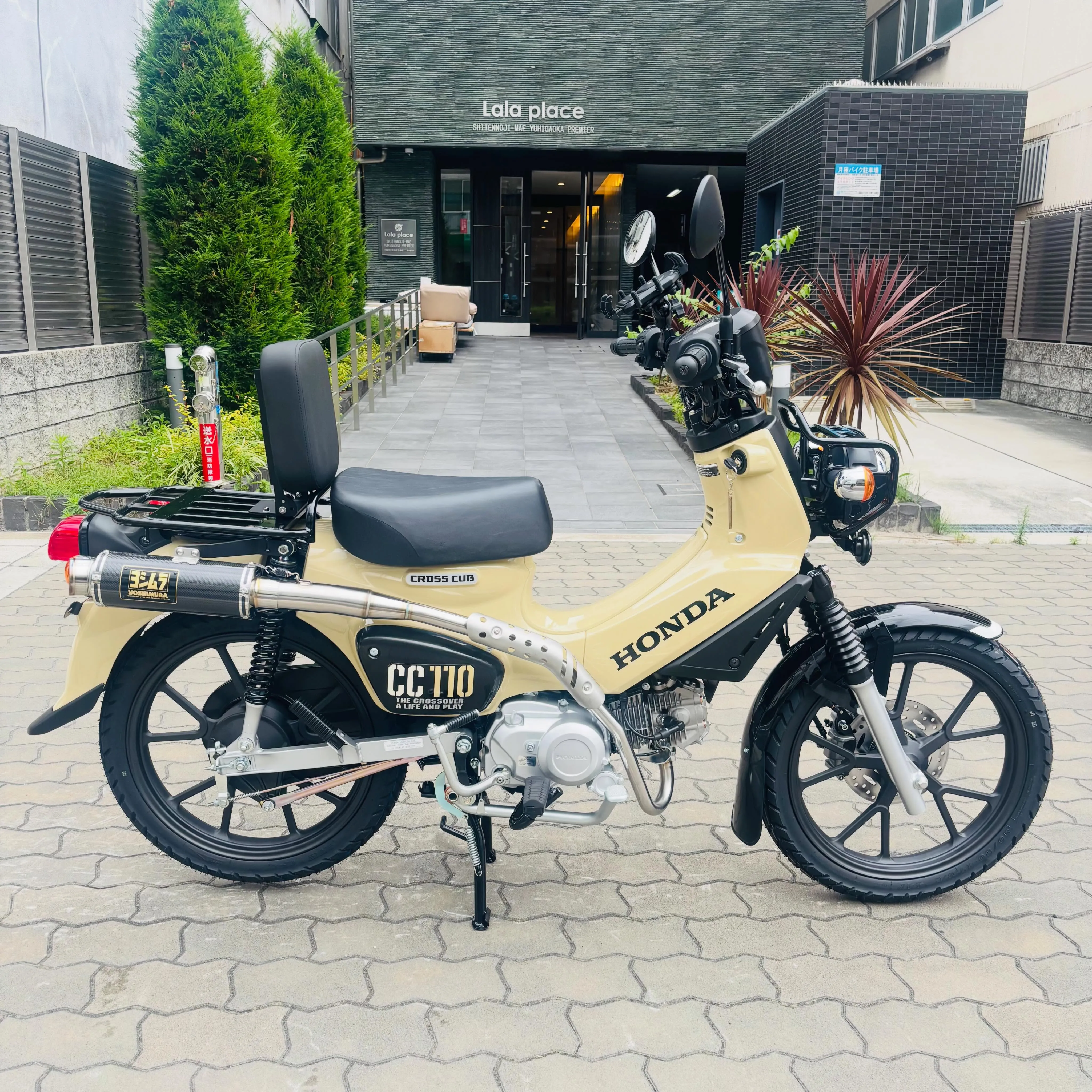 ■2026/06/22(月)